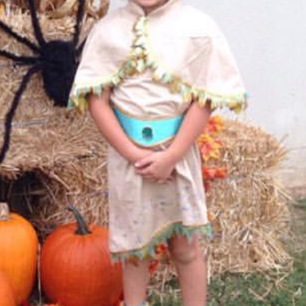 Disney Pocahontas Costume